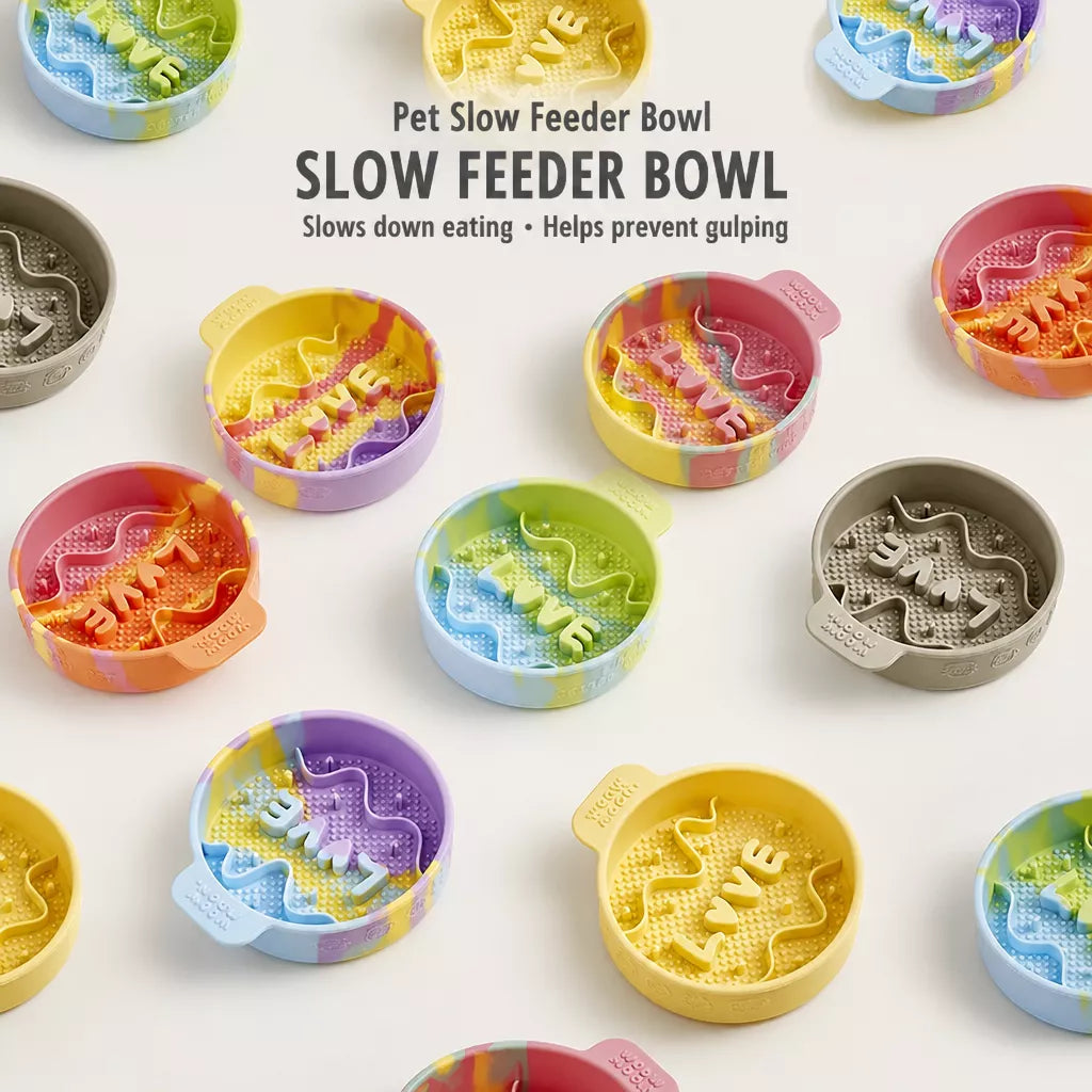 Slow-Feeder Bowl for Dogs and Cats