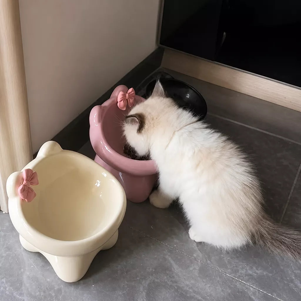 Ceramic Pet Bowl