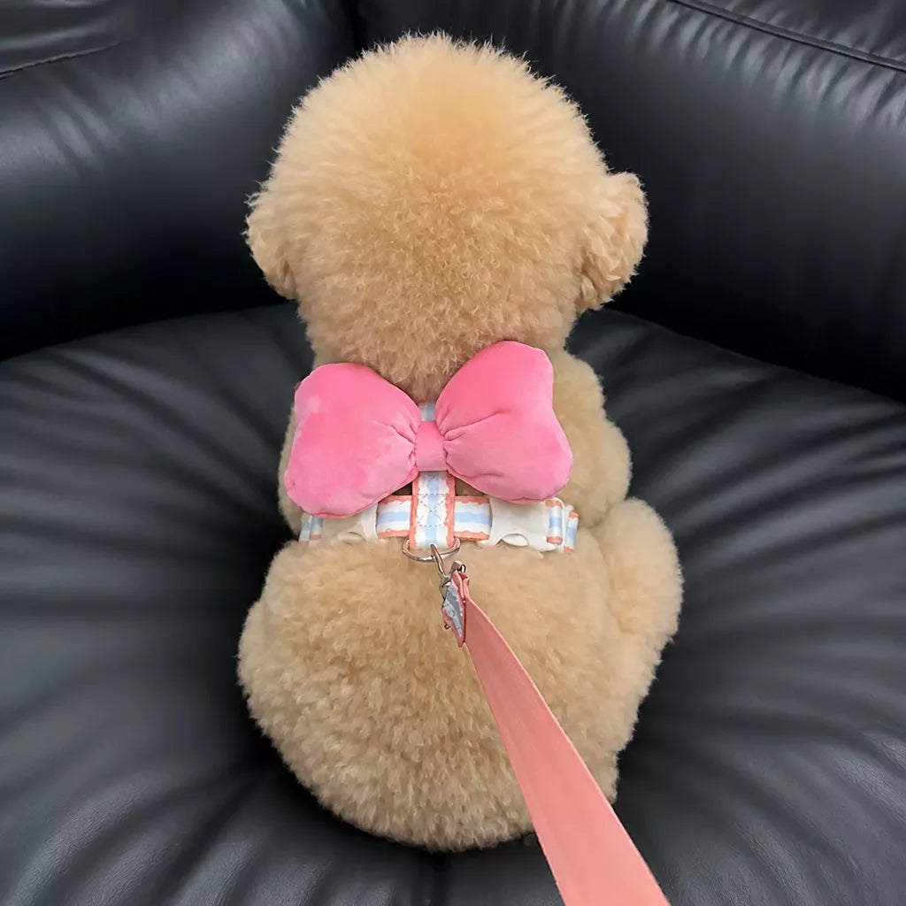 Small Dog Harness & Leash