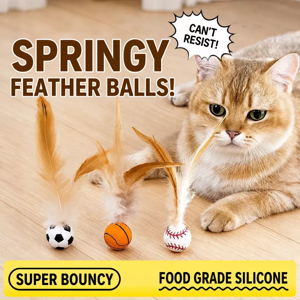 Cat Ball Toy with Feather Details