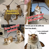 Cockroach-Inspired Cat Costume with Matching Collar
