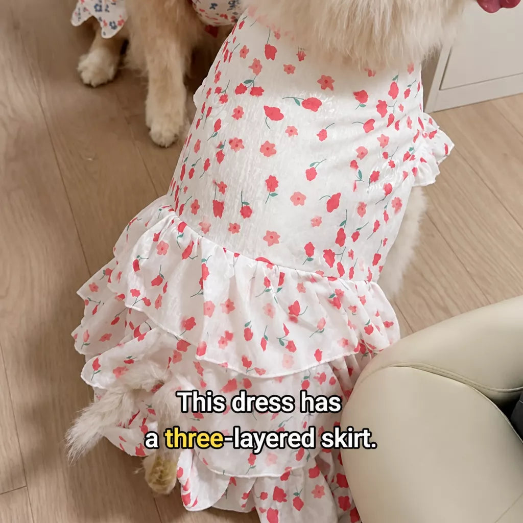 Lightweight Spring & Summer Dog Dress