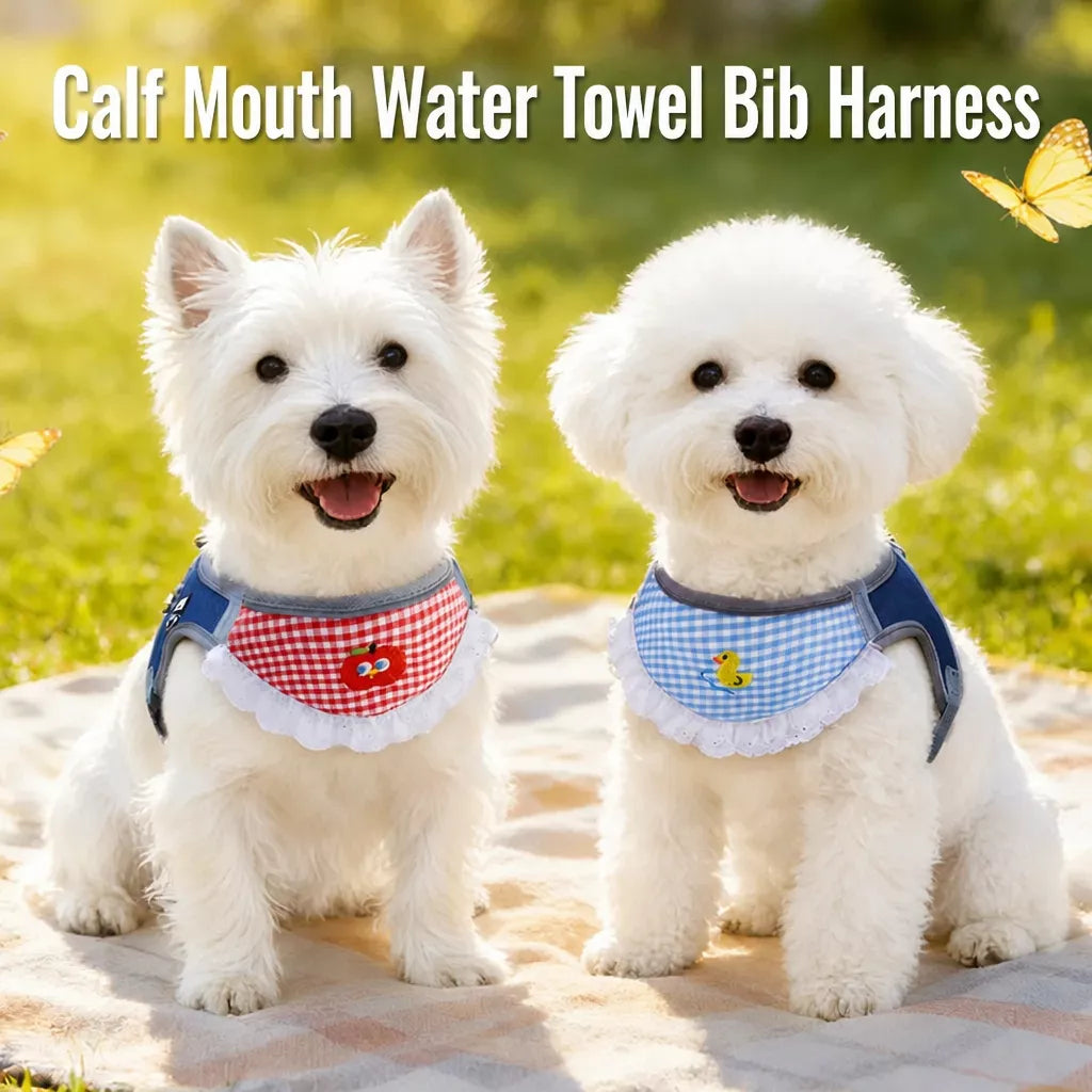 Nylon Vest-Style Dog Harness for Small to Medium Dogs