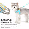 Nylon Round Rope Dog Leash for Small to Medium Dogs