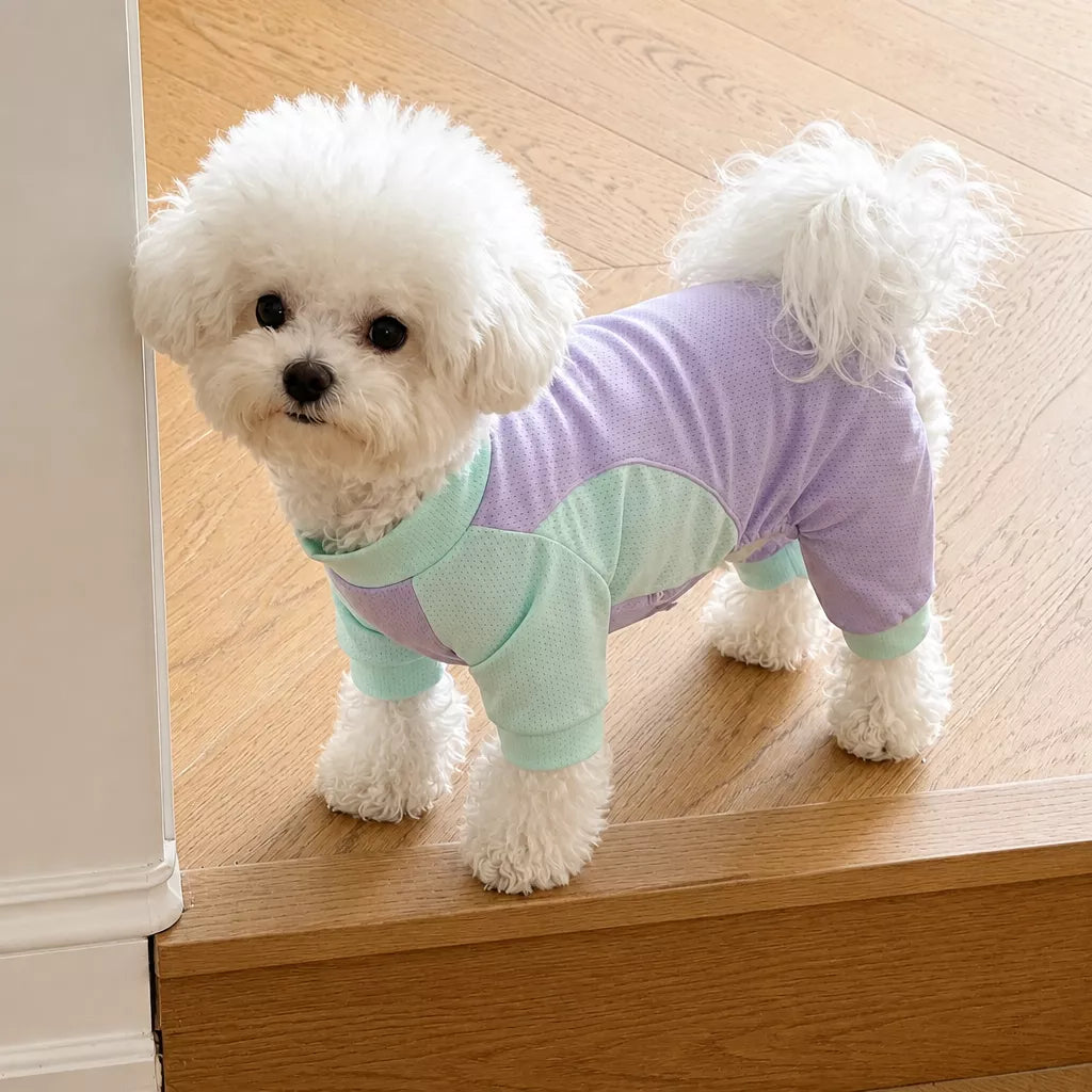 Lightweight Four-Leg Mesh Dog Shirt for Small & Medium Dogs