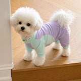 Lightweight Four-Leg Mesh Dog Shirt for Small & Medium Dogs