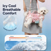 Portable Shoulder Pet Carrier for Small Dogs and Cats
