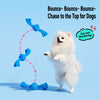 Interactive Squeaky Rope Tug Toy for Small and Medium Dogs