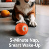 Interactive Squeaky Jumping Ball Dog Toy