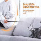 Cat Teaser Wand with Interchangeable Feather Attachments