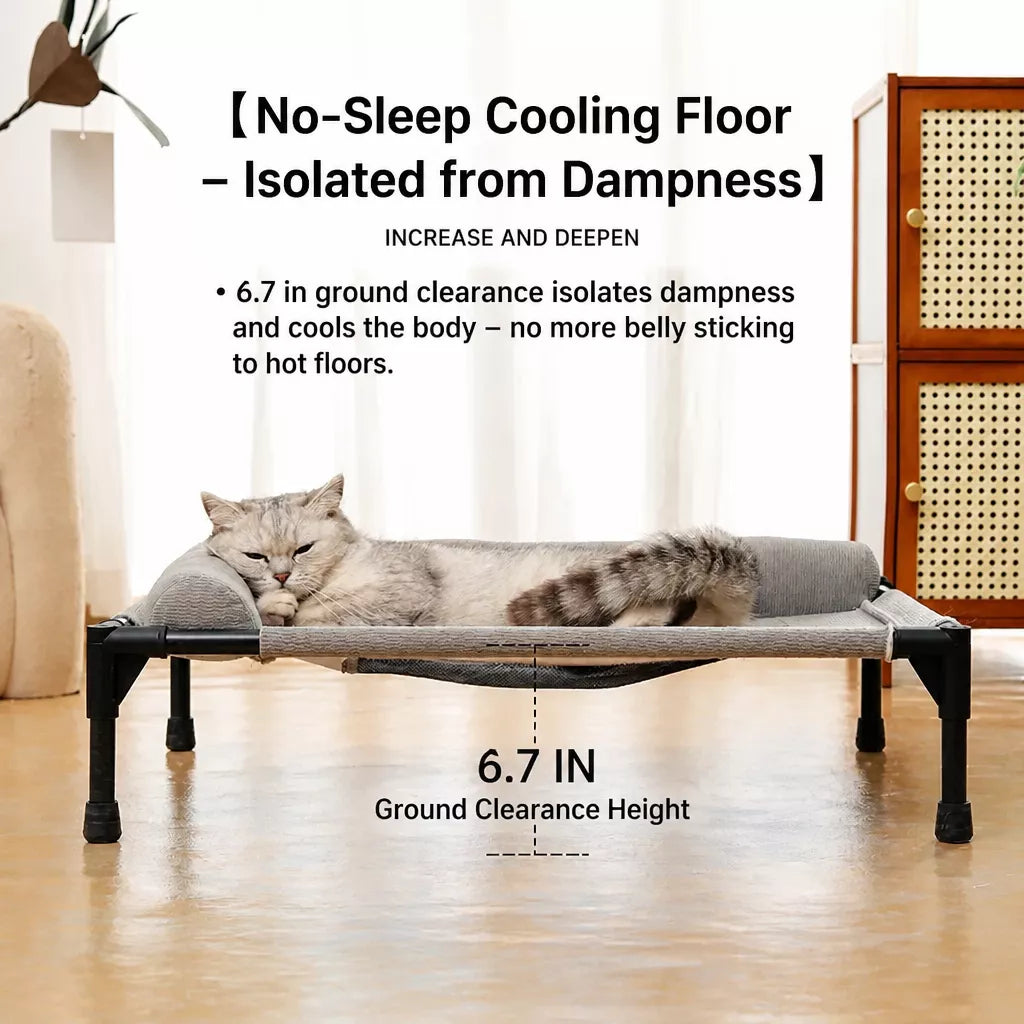 Elevated Pet Cot with Removable, Washable Cover