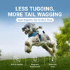 Adjustable Nylon Vest Harness with Magnetic Closure for Small Dogs