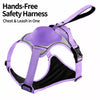 Pet Harness Vest with Leash