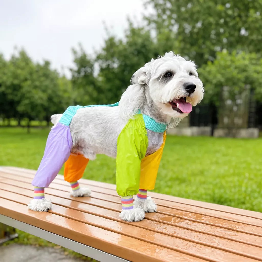 Four-Leg Dog Jumpsuit for Outdoor Wear