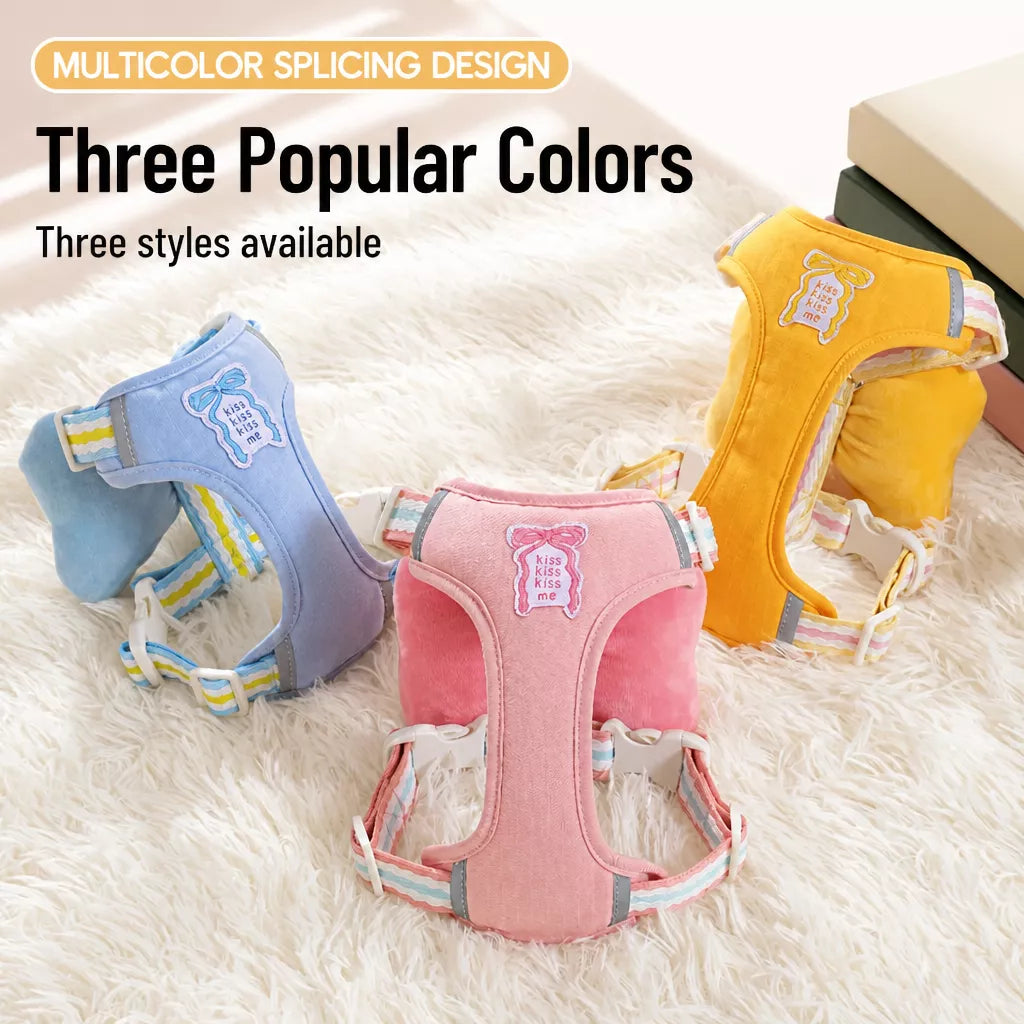 Small Dog Harness & Leash