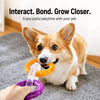 Dog Tug Ring Toy for Interactive Play