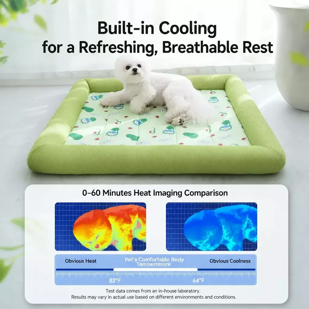 Washable Pet Bed for Dogs with Removable Cover