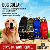 Adjustable Nylon Dog Collar