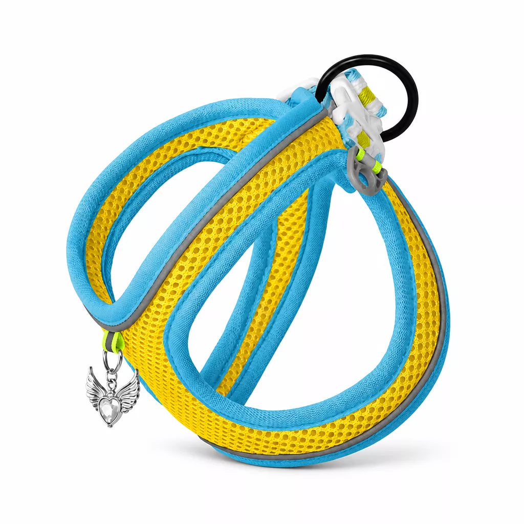 Adjustable Dog Harness with 4.6-ft Leash for Small Dogs