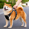 Nylon Dog Walking Harness