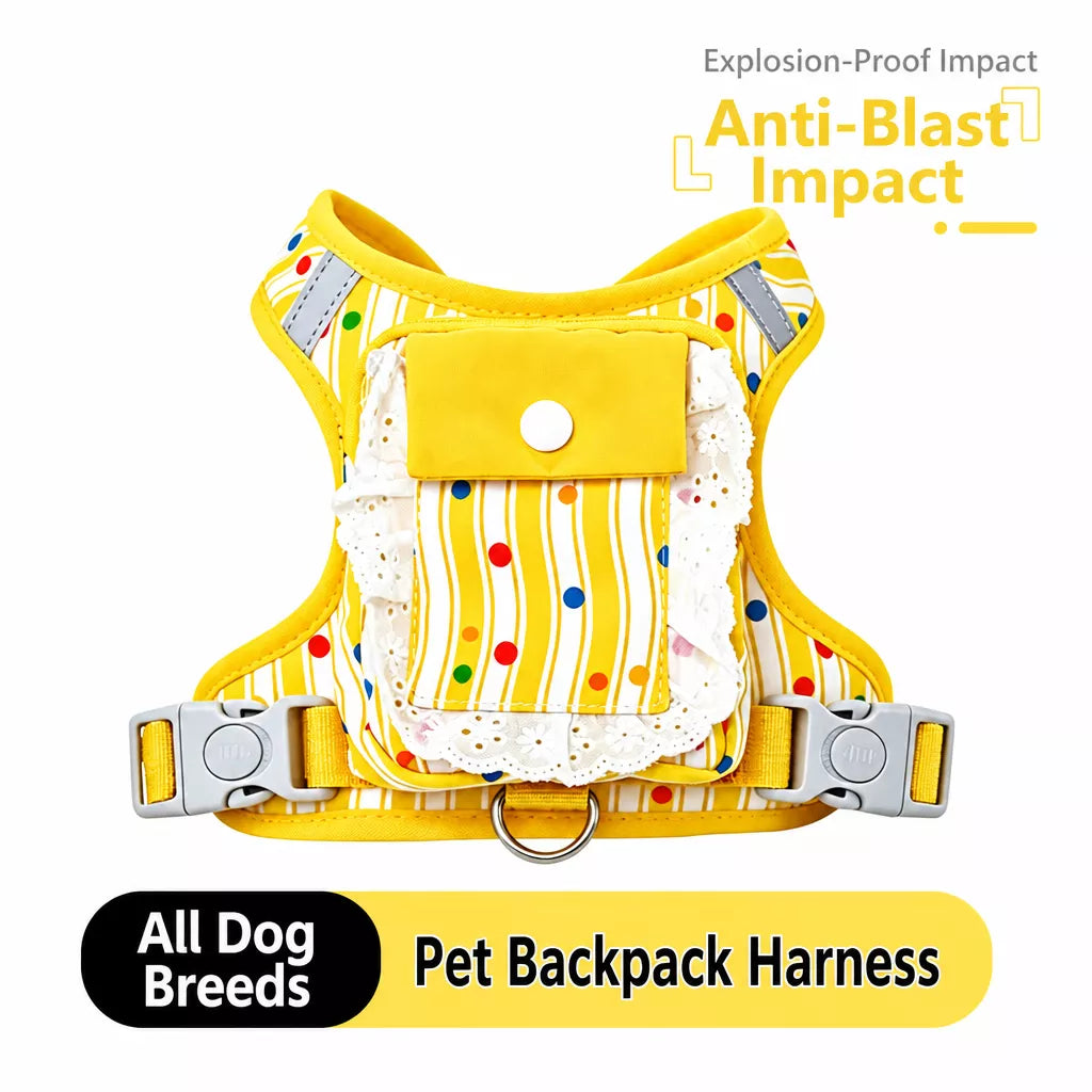 Vest-Style Harness and Leash Set for Small to Medium Dogs