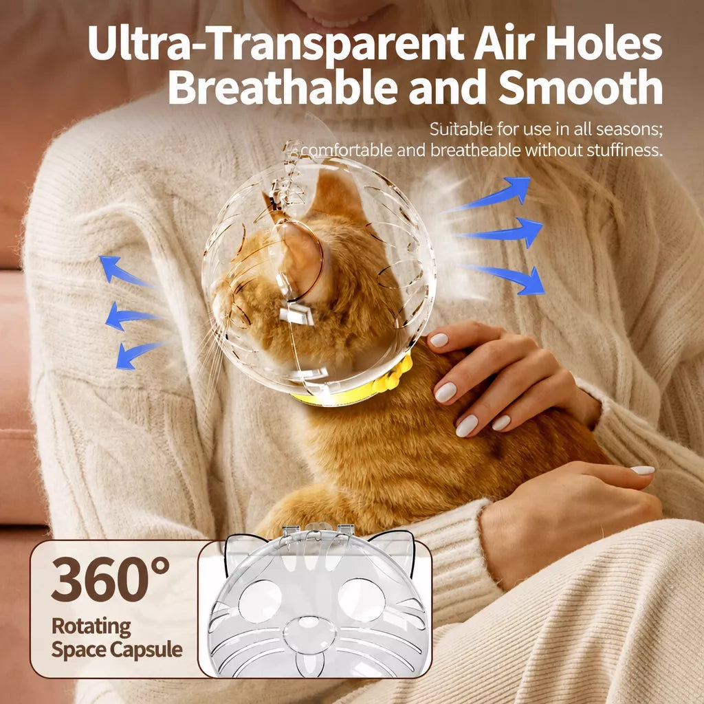 Plastic Recovery Cone for Cats During Grooming and Care