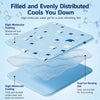 Pet Foam Bed with Nylon Cover