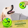 Vinyl Squeaky Dog Ball Toy