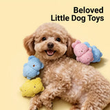 Plush Squeaky Dog Toy