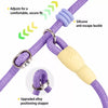 Nylon Rope Dog Leash for Walking and Training