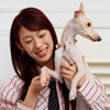 Rhinestone Faux Leather Pet Collar for Small Dogs & Cats