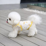 Lightweight Dog & Cat Vest