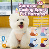 Vest-Style Dog Harness with Leash