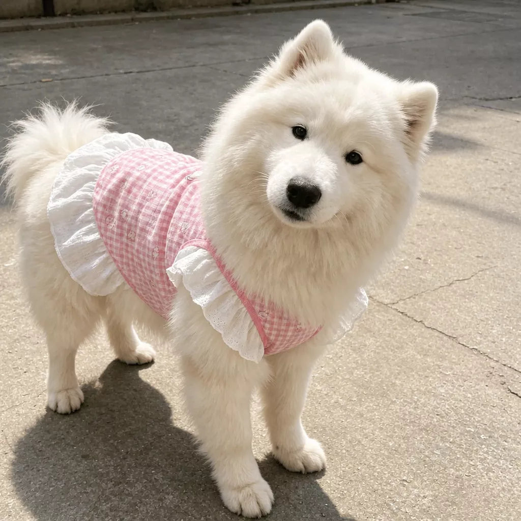 Lightweight Mesh Dog Dress for Warm-Weather Lounging