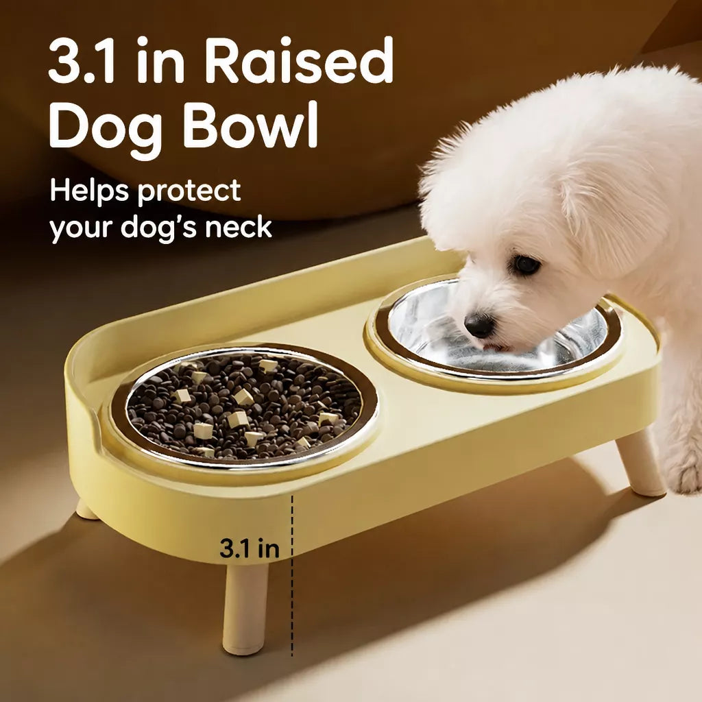 Stainless Steel Dog Bowl with Plastic Stand for Small Dogs