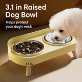 Stainless Steel Dog Bowl with Plastic Stand for Small Dogs