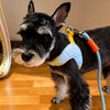 Y-Front Vest Dog Harness with Leash