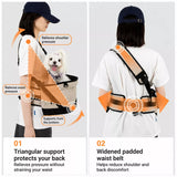 Small Dog & Cat Waist Carrier