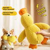 Plush Squeaky Duck Toy for Pets