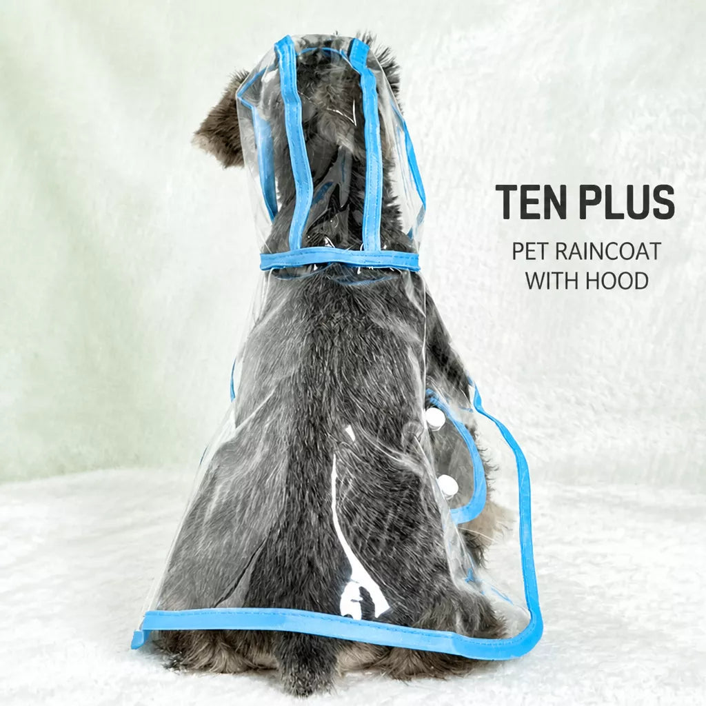 Transparent EVA Dog Raincoat with Hood