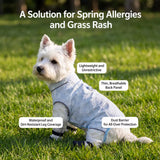 Lightweight Four-Leg Mesh Suit for Small Dogs