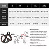 Lightweight Adjustable Nylon Dog Harness with Leash