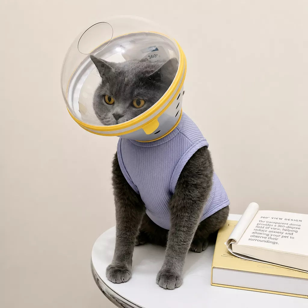 Adjustable Plastic Recovery Cone for Dogs | Elizabethan Collar
