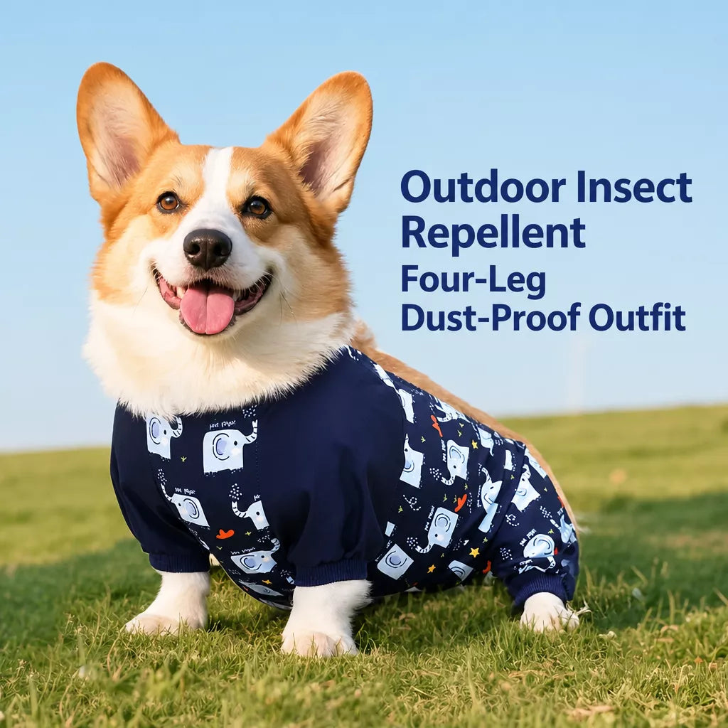 Dog Outdoor Rainwear