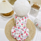 Breathable Mesh Summer Dress for Dogs and Cats