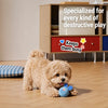 Squeaky Bouncy Ball Toy for Dogs
