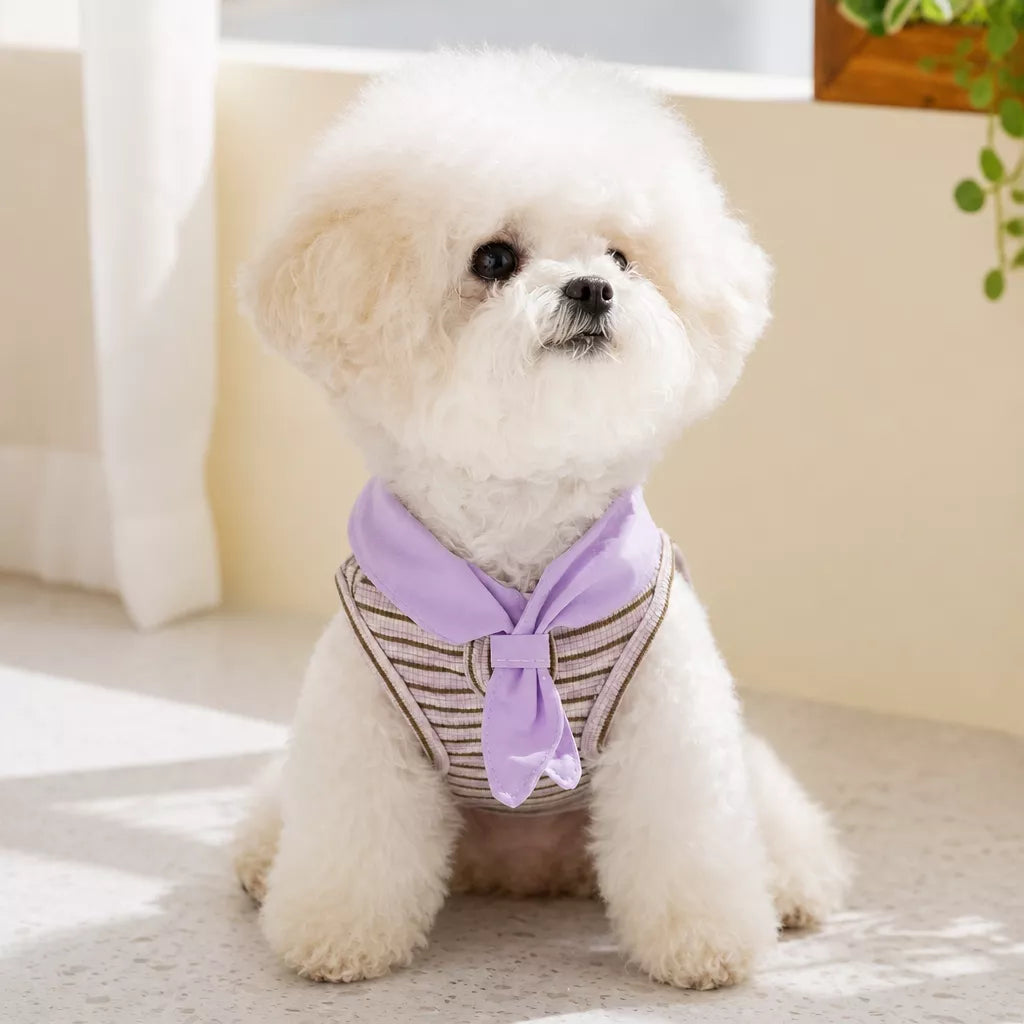 Striped Polo-Style Harness Vest for Small Dogs
