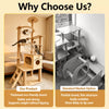 Multi-Level Solid Wood Cat Tree with Scratching Post