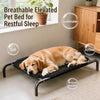 Elevated Mesh Dog Bed with Iron Frame