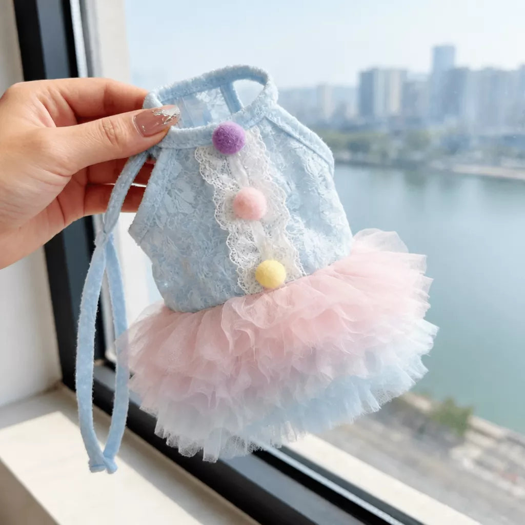 Lace Pet Dress with Gradient Full Skirt for Small Dogs and Cats